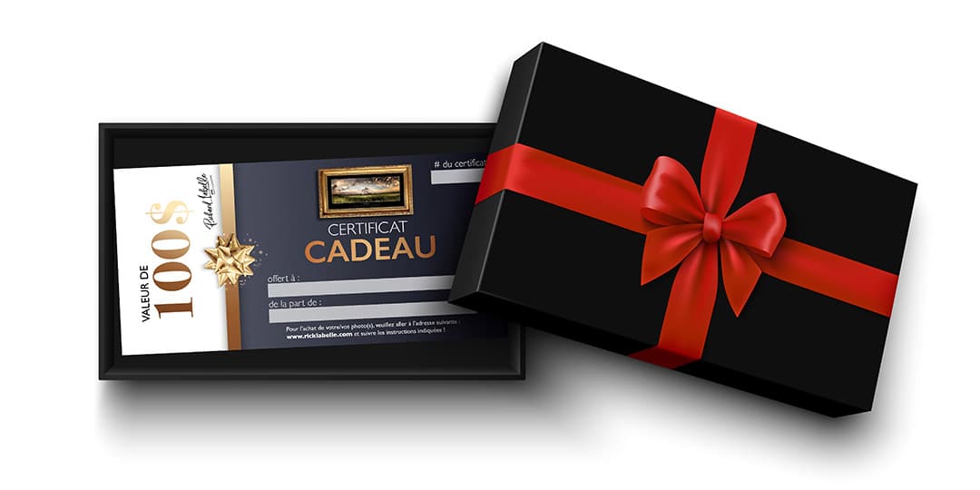 certificat%20boite 01